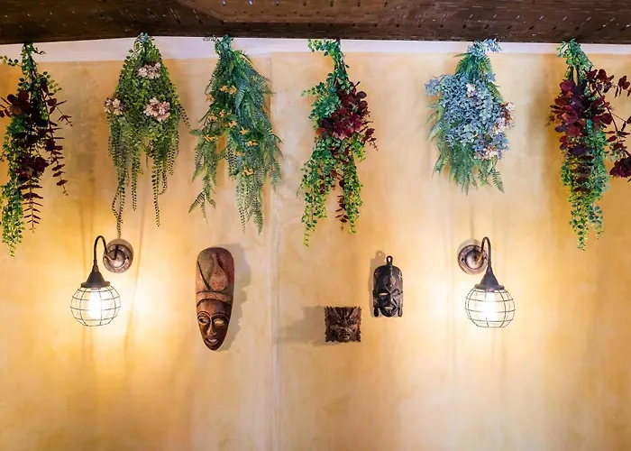 Carlota Braun ホステル グラナダ